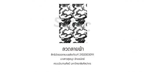2102003091