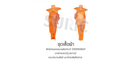 2102003069