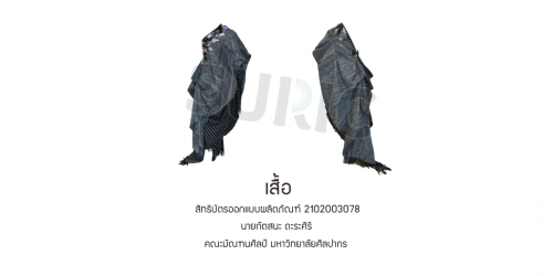 2102003078